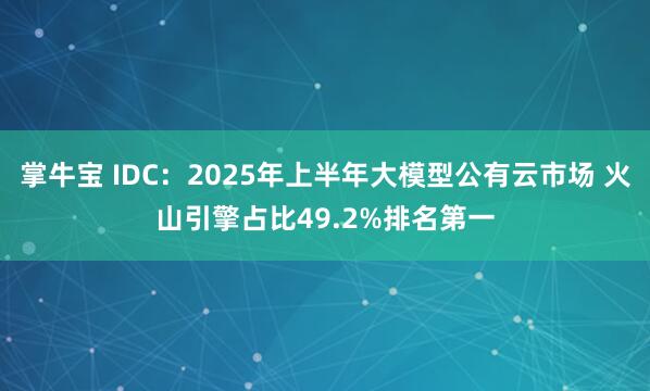 掌牛宝 IDC：2025年上半年大模型公有云市场 火山引擎占比49.2%排名第一