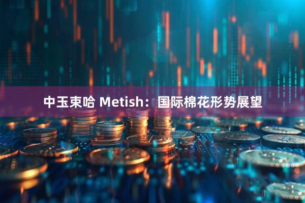 中玉束哈 Metish:国际棉花形势展望
