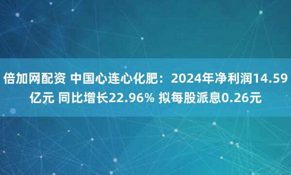 倍加网配资 中国心连心化肥:2024年净利润14.59亿元 同比增长22.96% 拟每股派息0.26元
