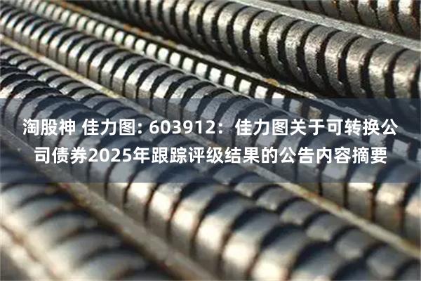 淘股神 佳力图: 603912：佳力图关于可转换公司债券2025年跟踪评级结果的公告内容摘要